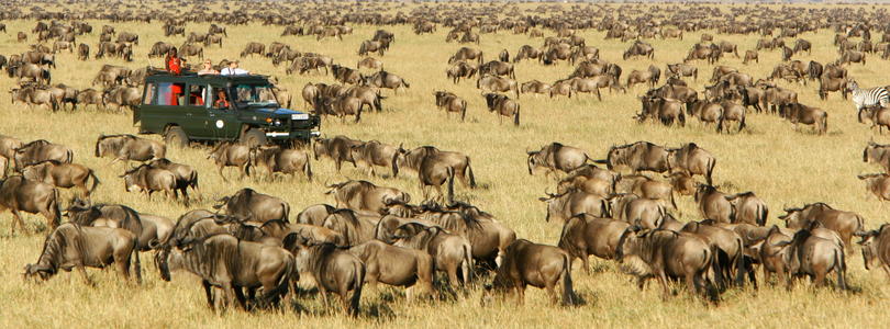 Masai Mara.