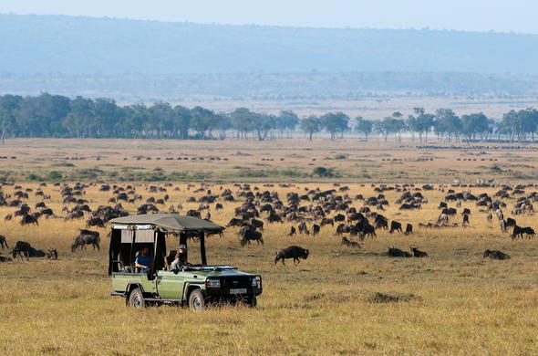 Game drive during a classic Kenya safari.
