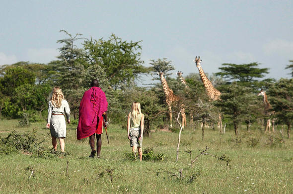 See Giraffe on a guided walking safari.