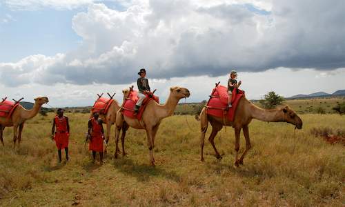 shimba hills safari