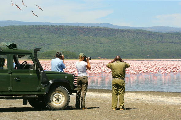 Spotting flamingos at Lake Nakuru.
