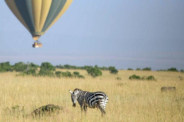 Masai Mara hot air balloon safari.