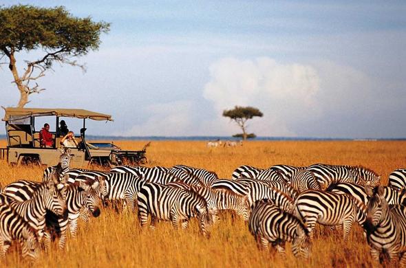 Masai Mara National Reserve - Kenyan Safari Guide