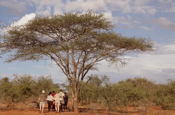 Bush walk in the Selenkay Conservancy near Amboseli.
